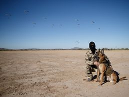 Hundeführer Hauptfeldwebel W. vom Kommando Spezialkräfte (KSK) nimmt mit Diensthund Diego an der Übung des taktischen freien Falls in Arizona/USA teil Foto: Bundeswehr/Jana Neumann