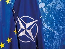 Eines der großen Probleme der NATO ist der Mangel an Einigkeit unter den Bündnispartnern. Zudem gilt als sicher, dass die Bereitschaft der USA, für Europas Sicherheit einzutreten, nachlassen wird - unabhängig vom Ausgang der Präsidentschaftswahlen. Foto: NATO/Flickr