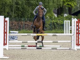 Ein Springreiter an der Sportschule der Bundeswehr in Warendorf. Der Reitsport hat in der „Stadt des Pferdes“ eine lange Tradition, doch auch die Athletinnen und Athleten vieler anderer Sportarten finden an der Sportschule beste Voraussetzungen. Foto: DBwV/Yann Bombeke