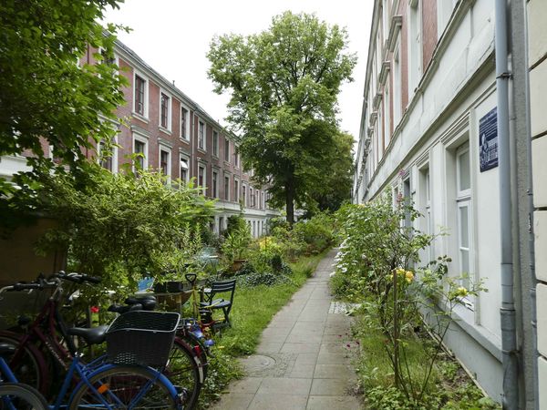 In der Stadt braucht es vor allem weniger versiegelte Flächen. „Wo Pflanzen sind, ist es immer um ein paar Grad kühler", sagt Harald Lesch. Foto: picture alliance/ABBfoto